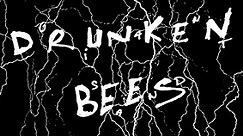 'Drunken Bees' 1994 Giant Sand documentary by Marianne Dissard (+ 2 bonus videos) - TOTAL: 60min