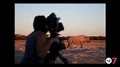 A Surprise Discovery Among Groups of Rhinos - video Dailymotion