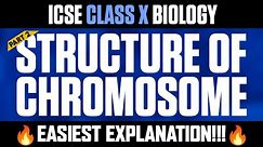 Structure of Chromosome Part II | ICSE BIOLOGY CLASS 10 | EASIEST EXPLANATION 🔥