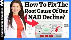 The Problem Of Taking A NAD Precursor Alone | Lead NAD Scientist Explains