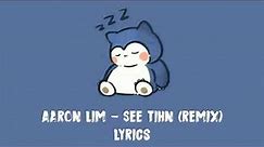 Aaron Lim - See Tinh [remix] "2 + 2 is 4, oh wait 4 letters in chinese" lyrics video