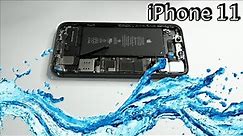 ⚠️ iPhone 11 Water Damage 💦 What s the Cost of this Repair⁉️