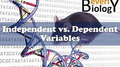 Independent vs Dependent Variables