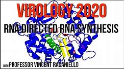 Virology Lectures 2020 #6: RNA directed RNA synthesis