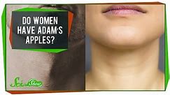Do Women Have Adam's Apples?