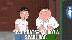 Space Cats? I'm not a Space Cat.