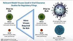 Introduction to Viral Safety Part 3 - Two Minute Tuesday Technical Training