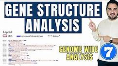 Gene structure analysis | UTR CDS | Intron Exon | Genome wide analysis tutorial 7
