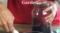 DIY Mason Jar Herb Garden 🌱 Grow your... - True Leaf Market