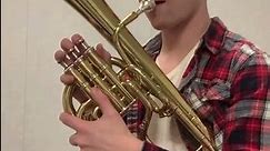 What is an ALTO/TENOR HORN? Let's Find Out!