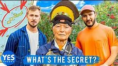 Secrets of a Japanese Island Where People Live Forever (100+ Years)