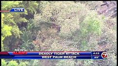 Deadly Tiger Attack in West Palm Beach