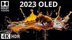 OLED DEMO 2023 | 4K HDR 'The Color' Dolby Vision