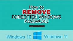 How to remove forgotten Windows password