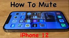 iPhone 12 - How To Mute