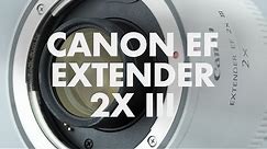 Lens Data - Canon EF Extender 2X III Review