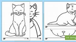 Kittens and Cats Colouring Sheets