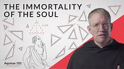 Philosophy Shows You Have an Immortal Soul (Aquinas 101)