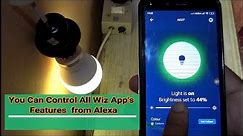How To Connect Philips Smart Led Bulb to Alexa App | Amazon Alexa Setup With Wiz App