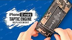 iPhone 12 Mini Taptic Engine Replacement