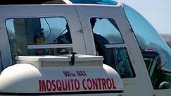 Here's why Minnesota's mosquito season will be so intense this year