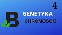 CHROMOSOM co to takiego? ;) - genetyka - KOREPETYCJE z BIOLOGII - 197