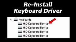 How To Re-Install Keyboard Driver in Windows 11 (2 Easy Methods) | Update Keyboard Drivers