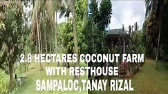 VIDEO#74 500/SQUARE METER 2.8HECTARES COCONUT FARM - SAMPALOC, RIZAL