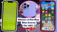 iPhone 13 Pro Max Blue Screen: How to Fix It and the Problem Colors