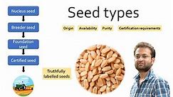Different types of seeds. Classification of plant seeds. Nucleus, breeder, foundation, certified