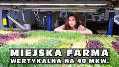 Miejska farma wertykalna na 40 mkw. - część 1/2