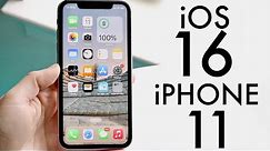 iOS 16 OFFICIAL On iPhone 11! (Review)