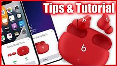 How To Use The Beats Studio Buds Tips, Tutorial & Review (iPhone & Android)
