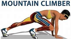 Cardio exercises: Mountain Climber