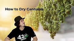 How to Dry Cannabis - The Best way to Dry Autoflowering Marijuana