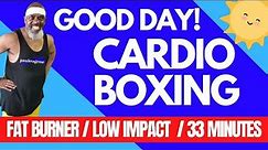 Cardio Boxing Low Impact Exercise Fat Burner Workout | 33 Minutes | All Fitness Levels