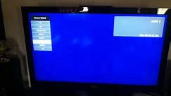 RCA 46LA45RQ 46" LCD HDTV Panel Problem