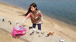 Playing with Schleich and Breyer toy horses by the beach