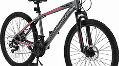 26" Mountain Bike, Aluminum Mountain Bike for Adult with Disc Brakes & Suspension, Gray