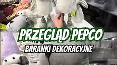 Świetne dekoracje wielkanocne🐏 Przegląd PEPCO💐#shorts #pepcopolska #pepcohoul