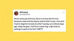 25 Of The Funniest Tweets About Cats And Dogs This Week (June 24-30)