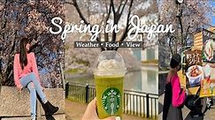 Spring in Japan - March, April and May Weather in Japan (Exploring Osaka and Kobe)