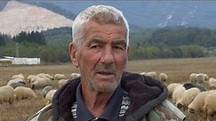 Zašto najpoznatiji ovčar s Vlašića prodaje svoje stado