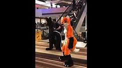 furry gets violated shot on iphone meme