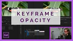 Keyframe Opacity to Create a Transition in Premiere Pro CC for beginners