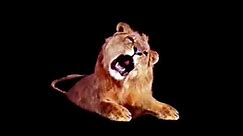 Leo The Lion Footage (1994)