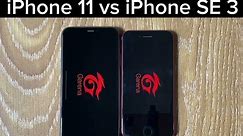 iPhone 11 vs iPhone SE 3 - FREEFIRE TEST