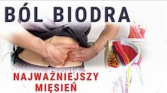 BÓL BIODRA - dysfunkcja i punkty spustowe w mięśniu biodrowym - dr n. med. Marcin Wytrążek