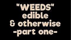 "Weeds": Edible & Otherwise (part 1)