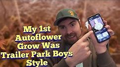 My 1st Real Autoflower Grow Setup Story - Trailer Park Boys Style